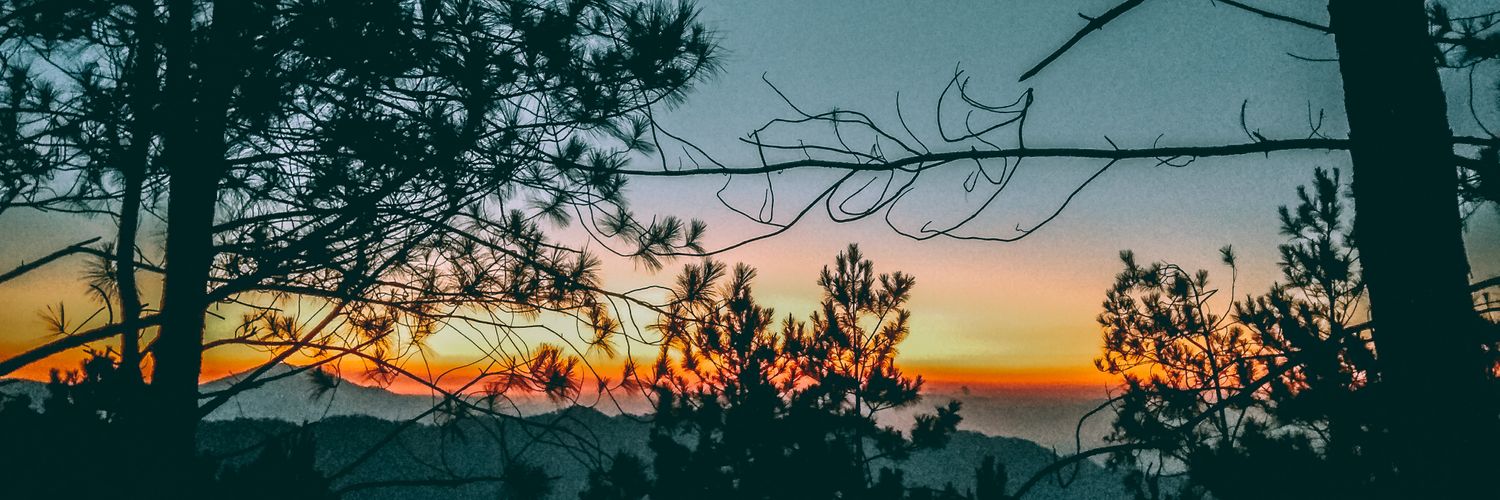eizeliciouss's profile banner image