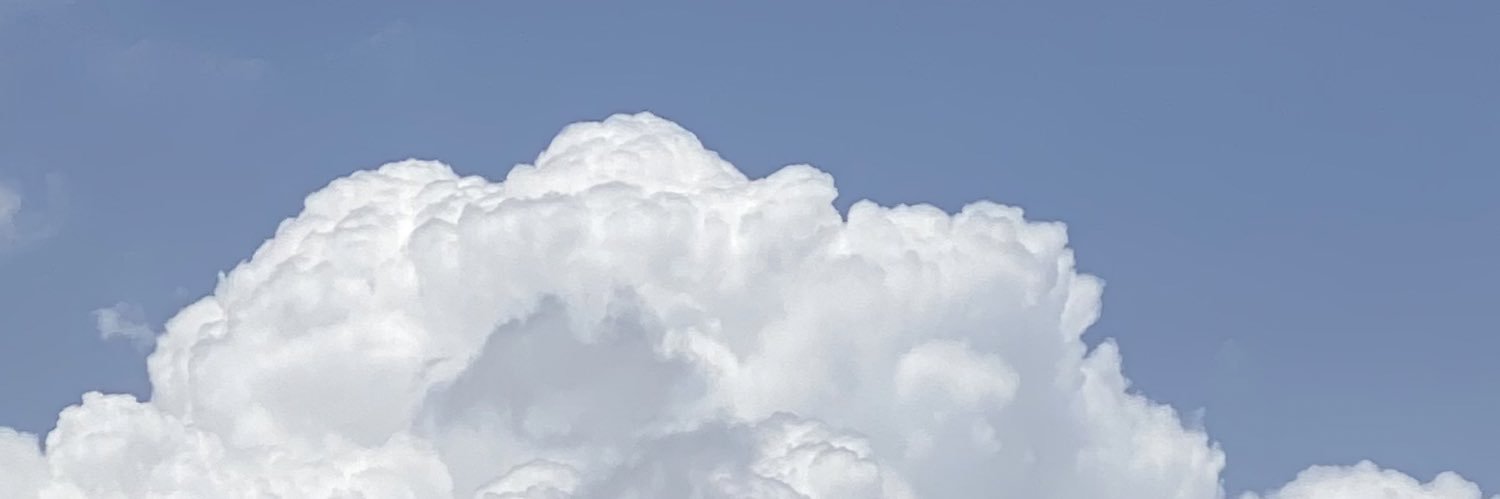 فلانه banner