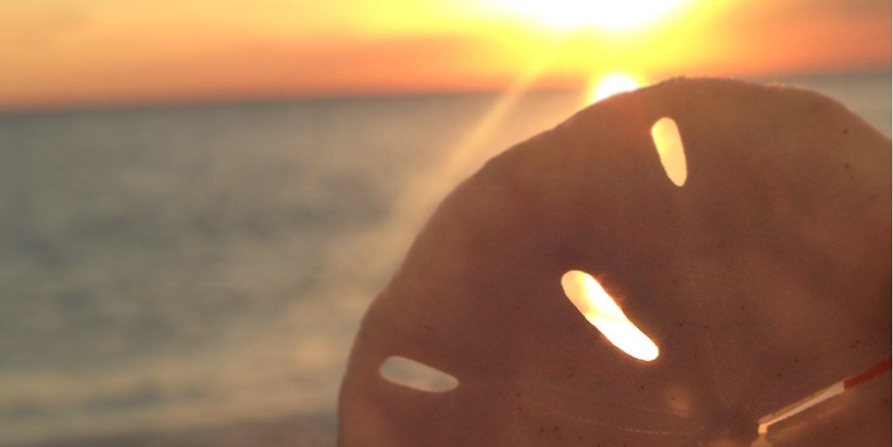 jshankle26's profile banner image