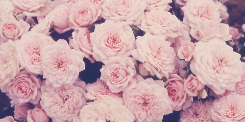 hanatriaputri's profile banner image