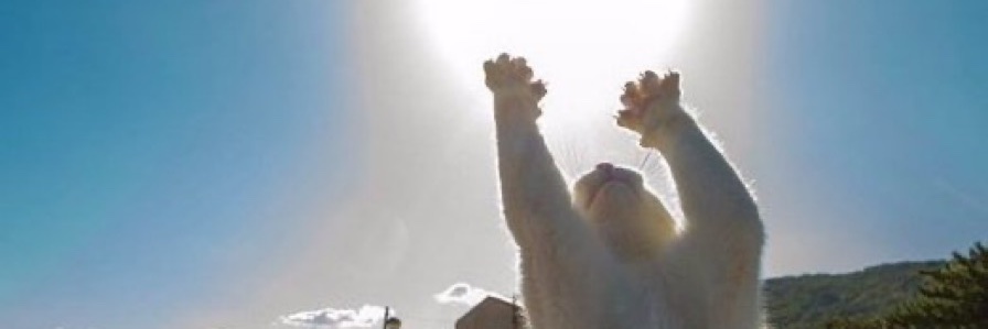 ☁️ banner