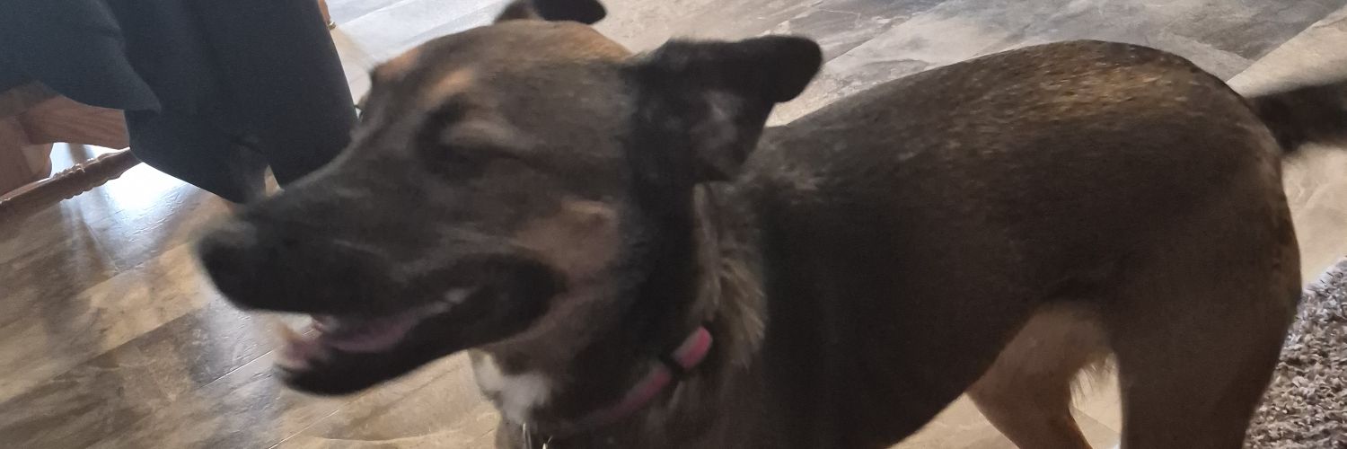 Cole banner