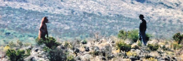 JunkMunkey_1 Profile Banner