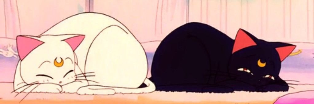 lemusanafer's profile banner image