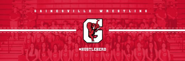 REDELEPHANT_WRE Profile Banner