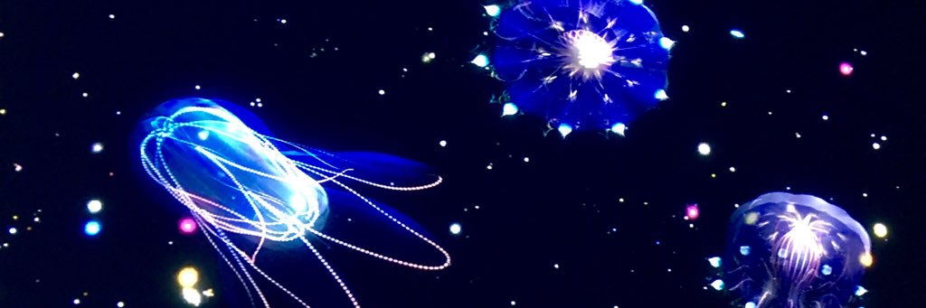 blackusakuma's profile banner image