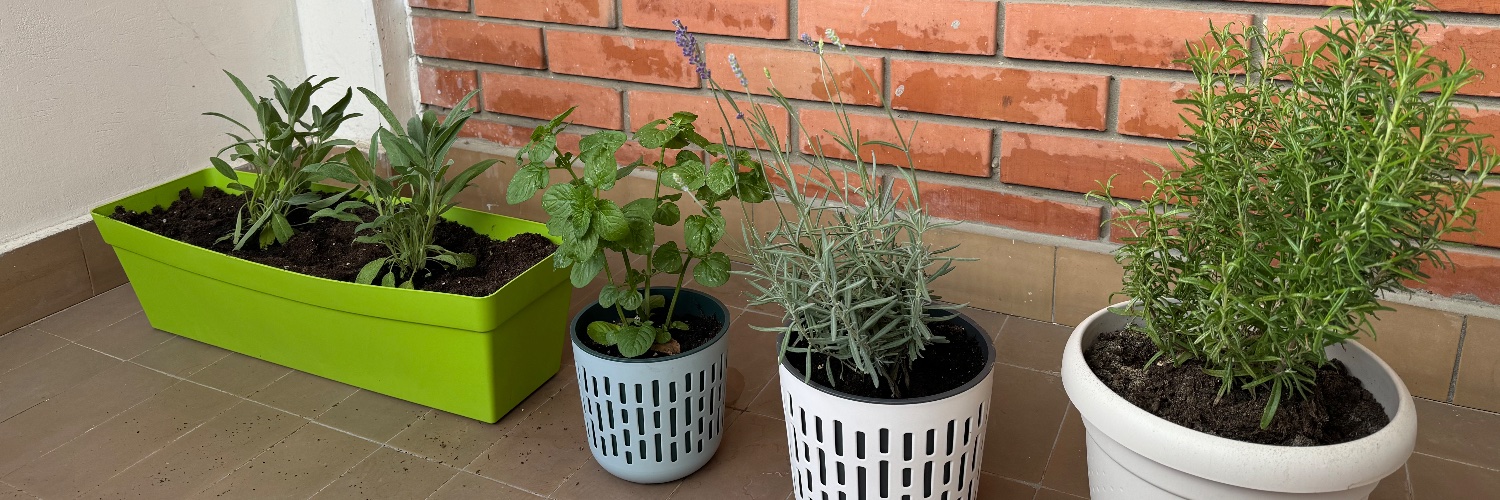 юкка сарасти banner