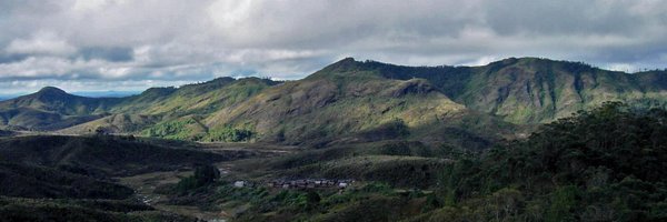 alvagante Profile Banner