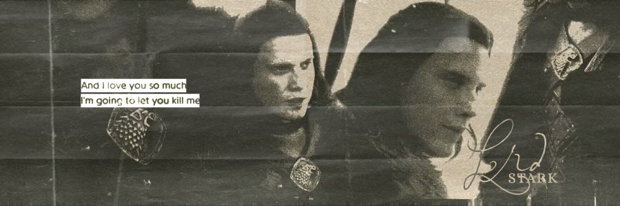 ᅠT̳H̳E̳ᅠ*ᅠ𝐖𝐎𝐋𝐅𓈒ᅠ banner