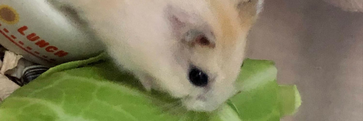nano016160's profile banner image