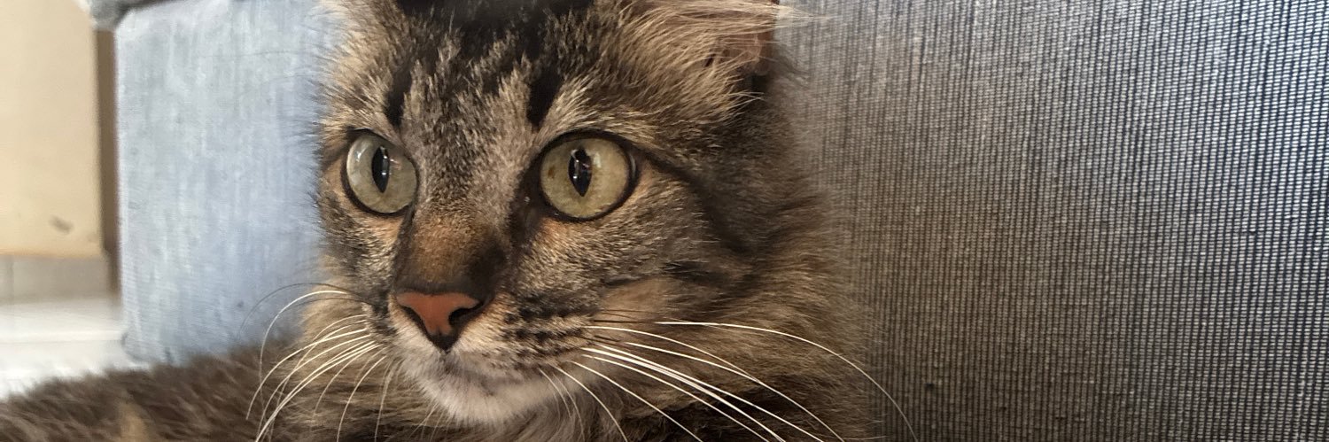 andrecent's profile banner image