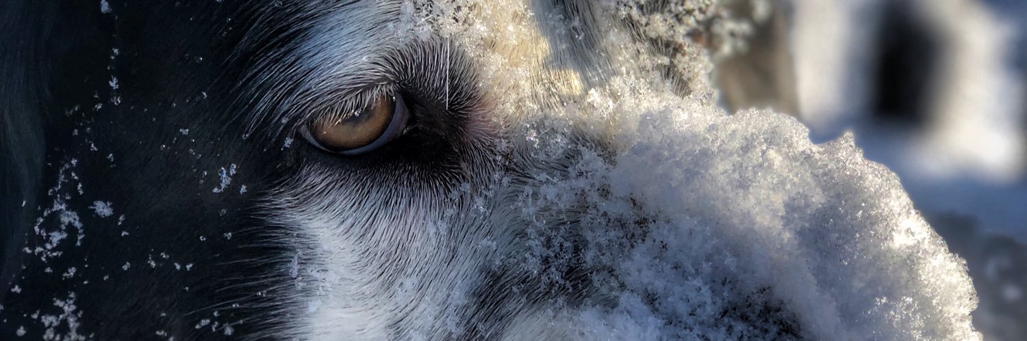 Dallas Winston banner