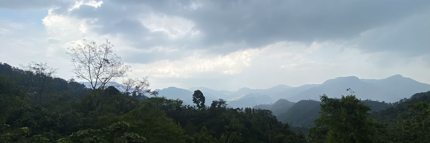 NSchetri's profile banner image