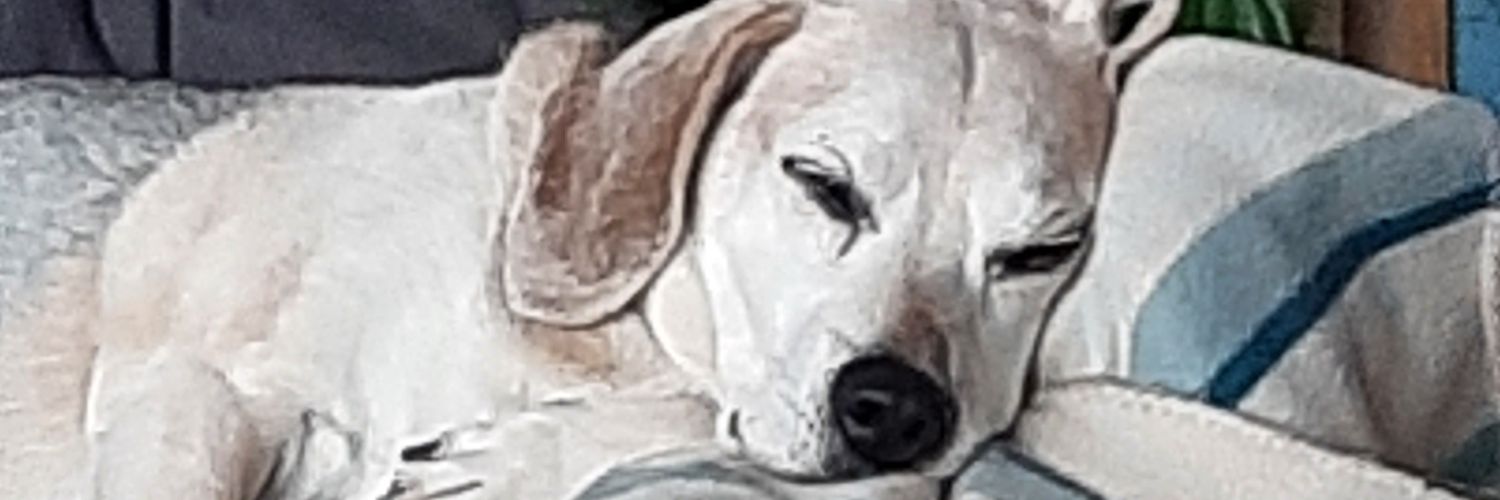 Robindux's profile banner image