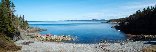 shaunmajumder Profile Banner