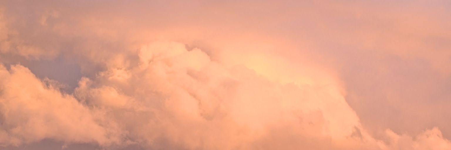 CoyMollusk's profile banner image