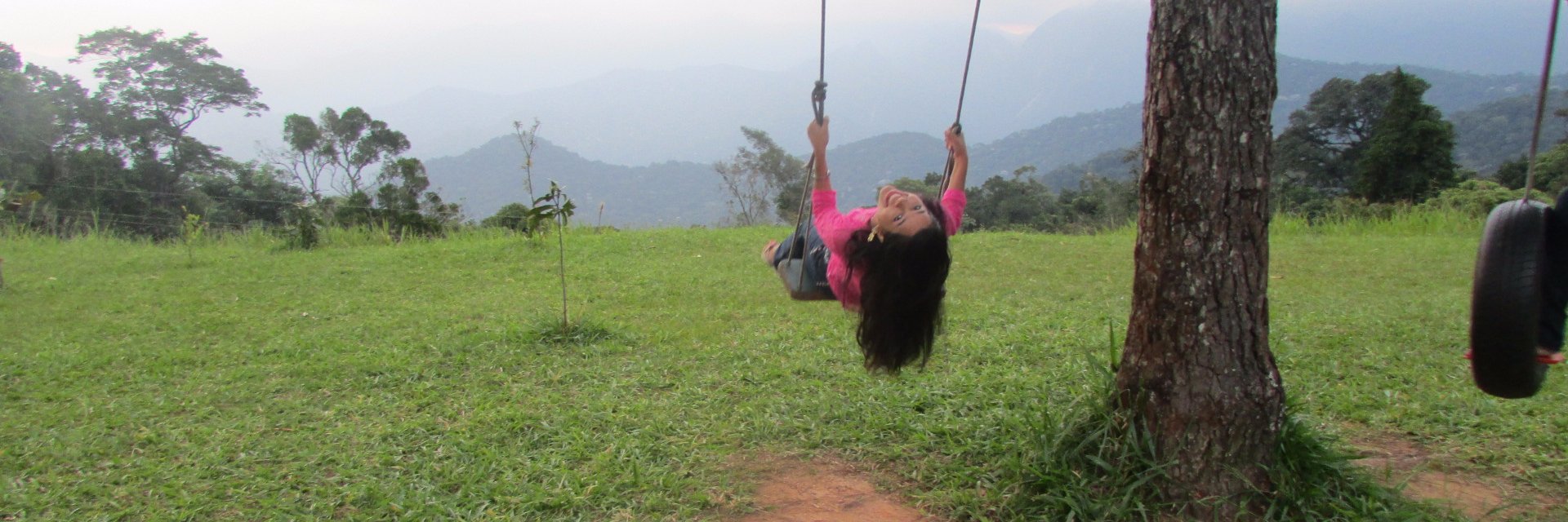 vanessa_sc's profile banner image