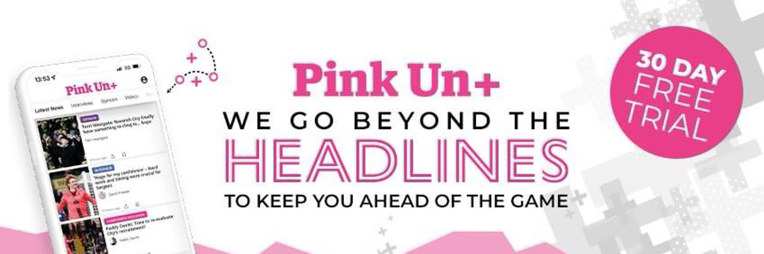 The Pink Un Profile Banner