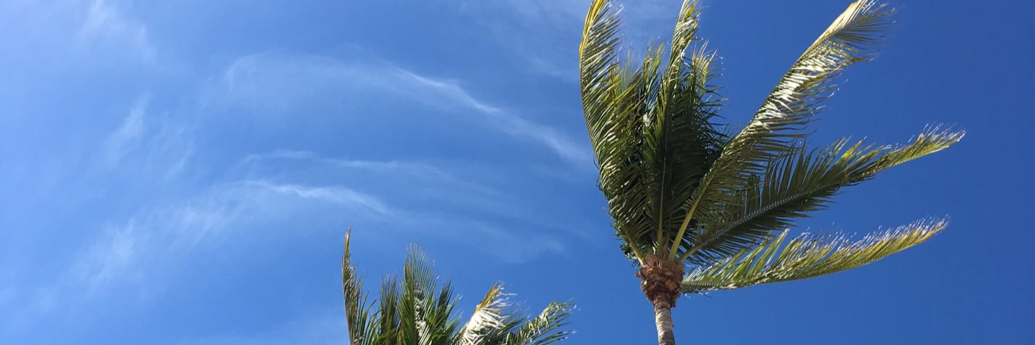 MajoSamper's profile banner image