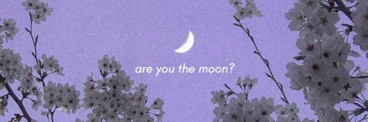 senoritae92's profile banner image