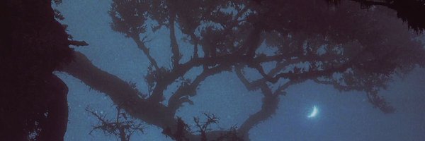 skybluelixie Profile Banner
