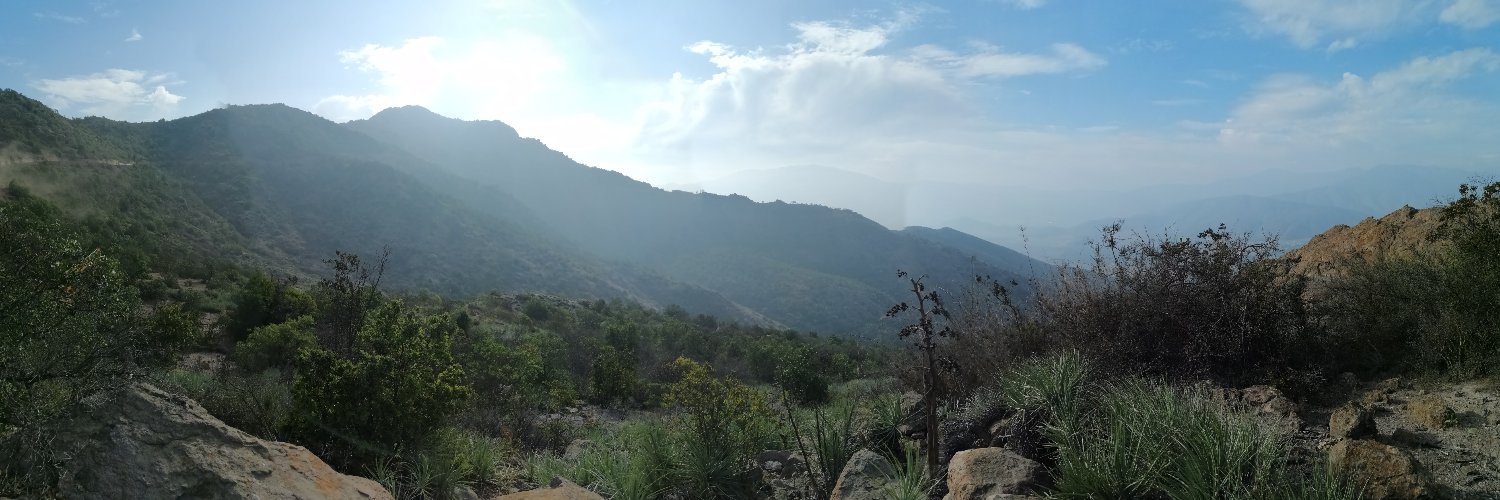 Boris Alvarez banner