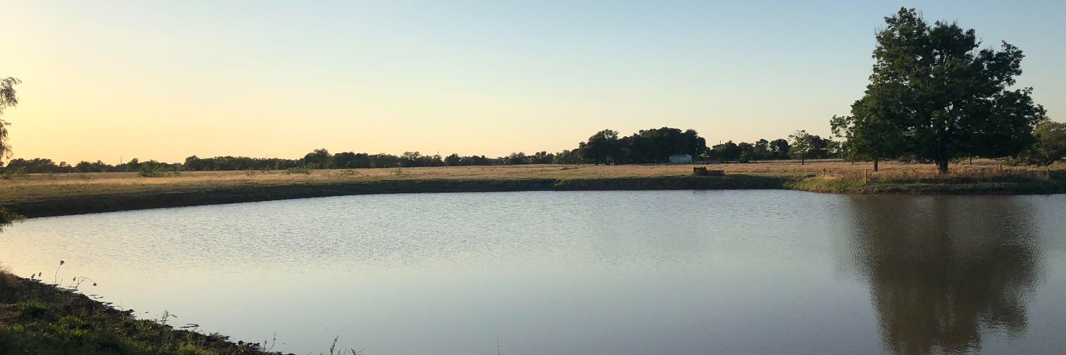 reganmray's profile banner image