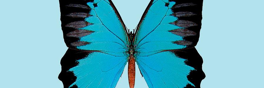 vkshah2's profile banner image
