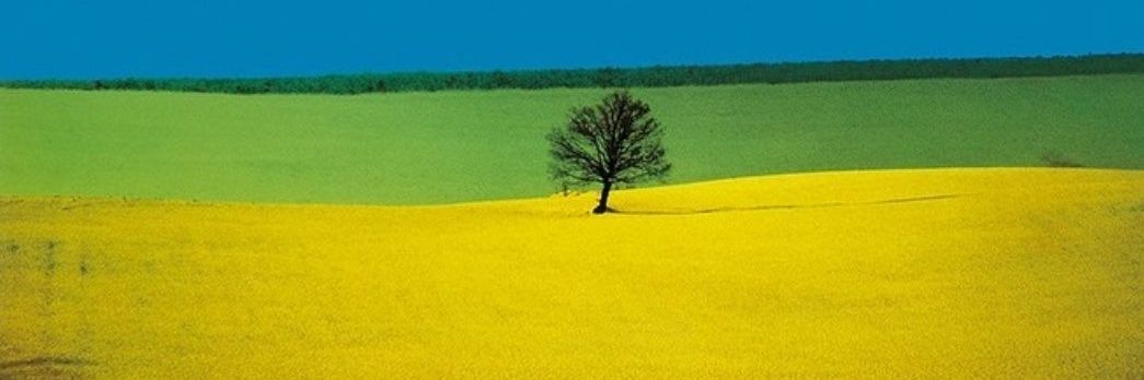 MrCatchSA's profile banner image