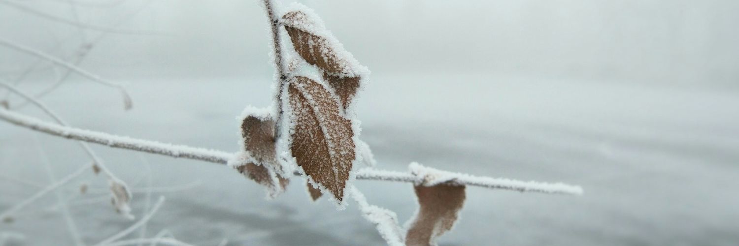 xiaoonline's profile banner image