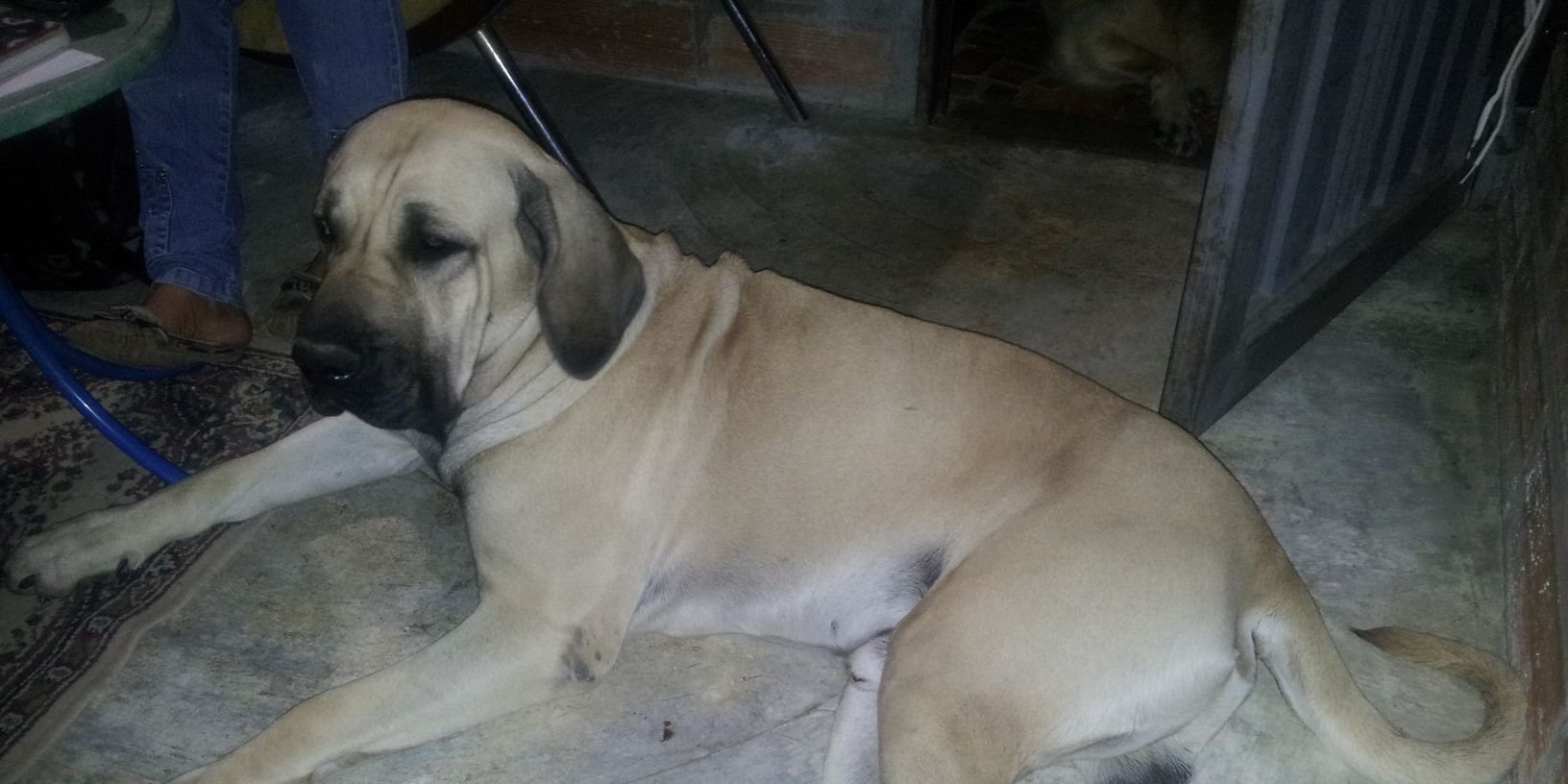 Esteban Cadavid banner