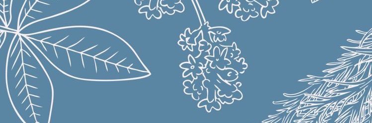 baileymrevis's profile banner image