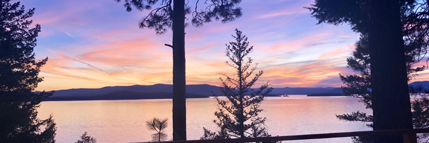 JuliaStead's profile banner image