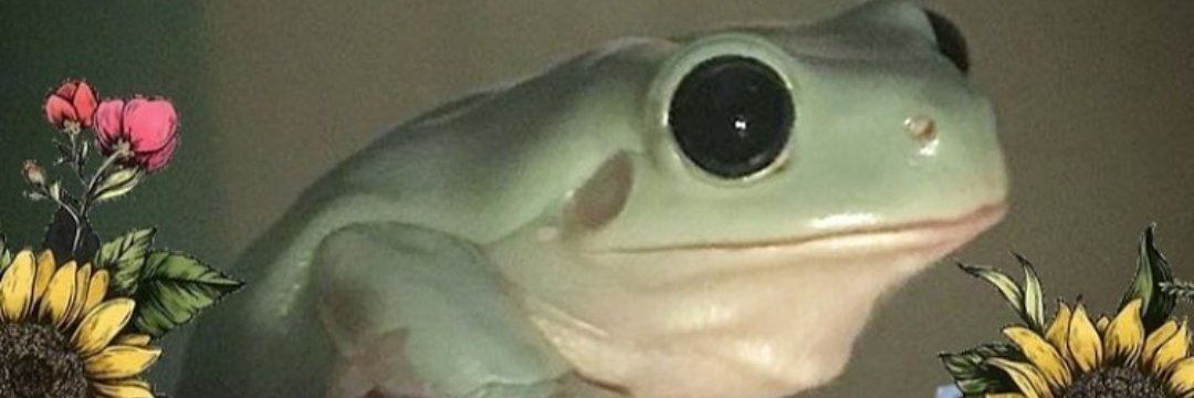 Astharis's profile banner image