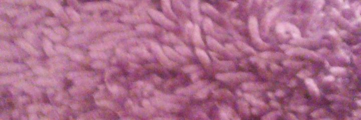 VeronicafromA2's profile banner image