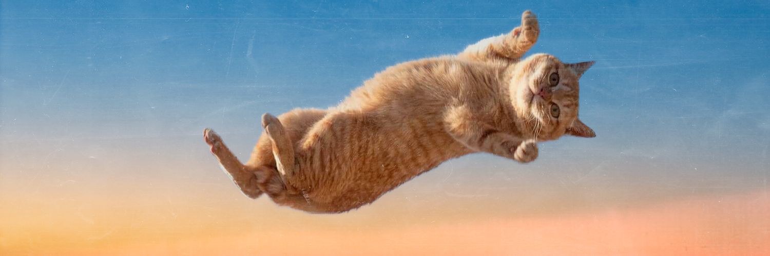Roxandp's profile banner image