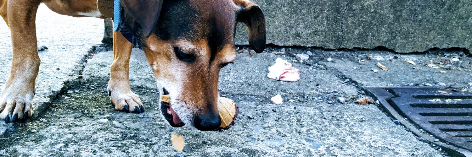 Rashers Tierney banner