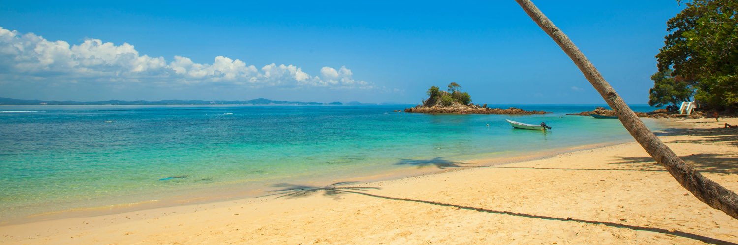 💙 💙 Carole-Anne 💙 💙 banner