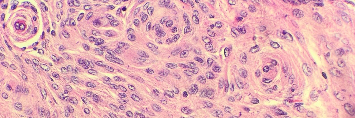 thepathdoc's profile banner image