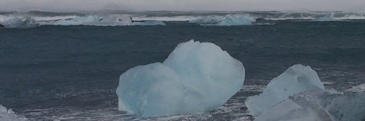 Benjamin Dargent banner