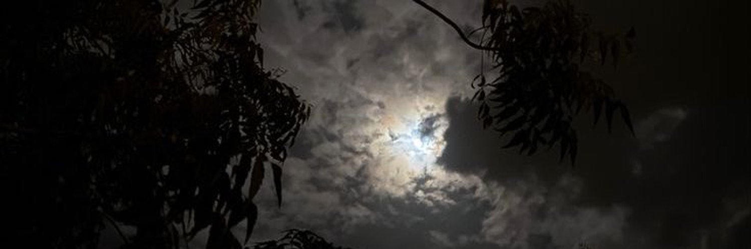 Baraa_901's profile banner image