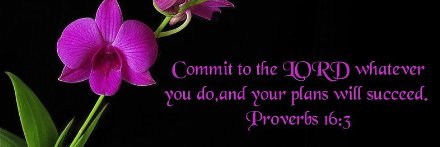 Shelby Huckaby banner