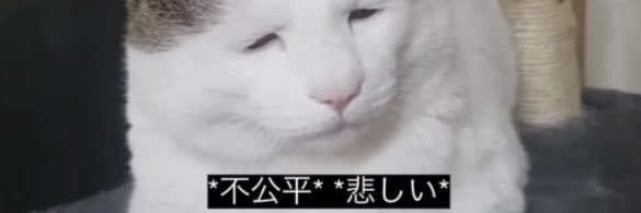 ki_ra_3___'s profile banner image