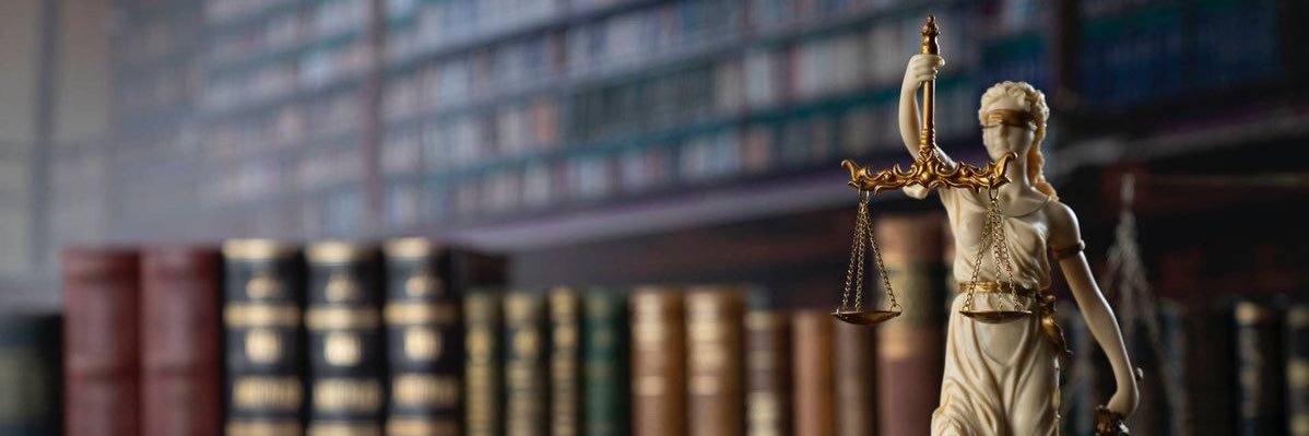 Florent Visentin / Sergent Patool banner