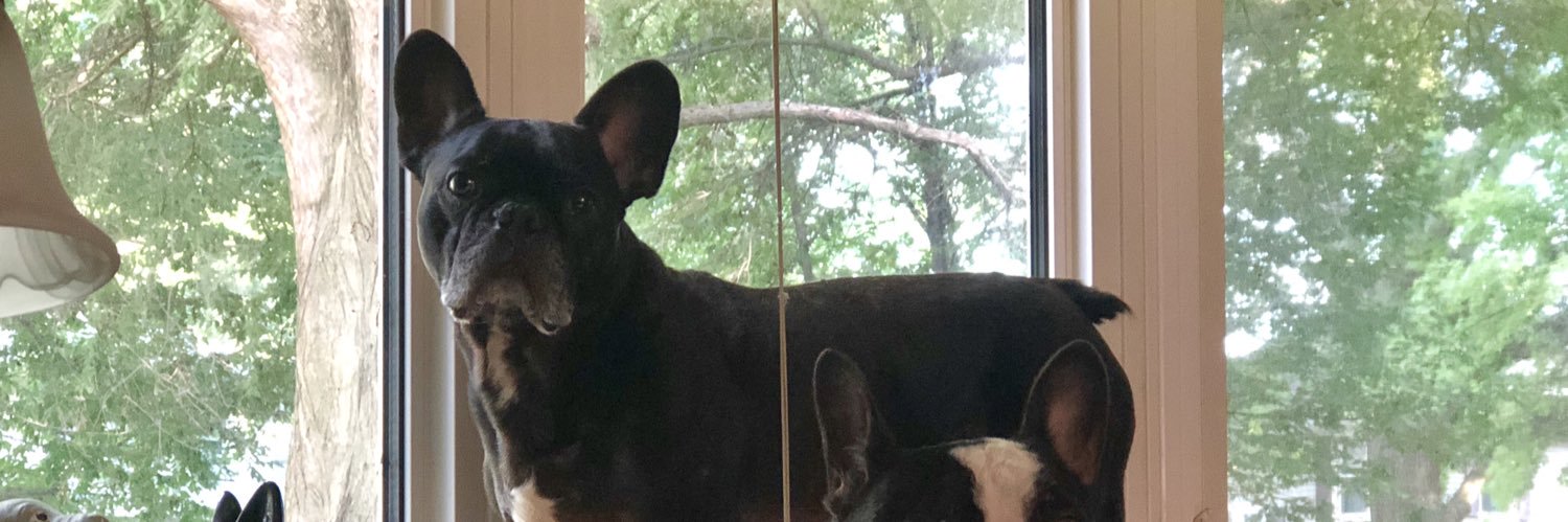 toddesmith's profile banner image