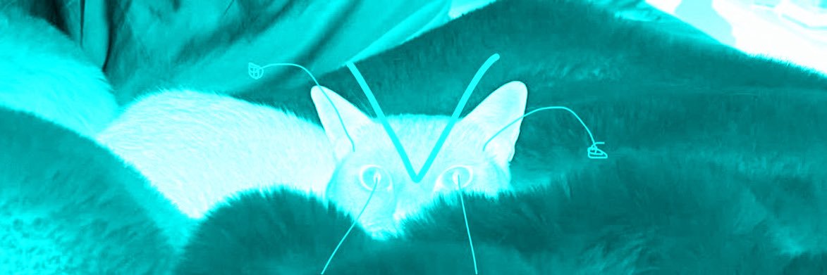 evil patrick stump Ⴟ's banner