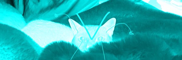 z_unforch Profile Banner