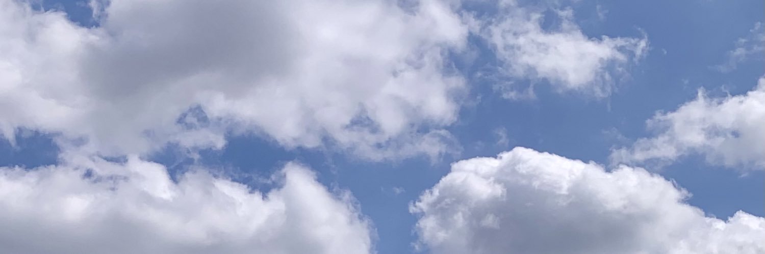 JanineFalcon's profile banner image