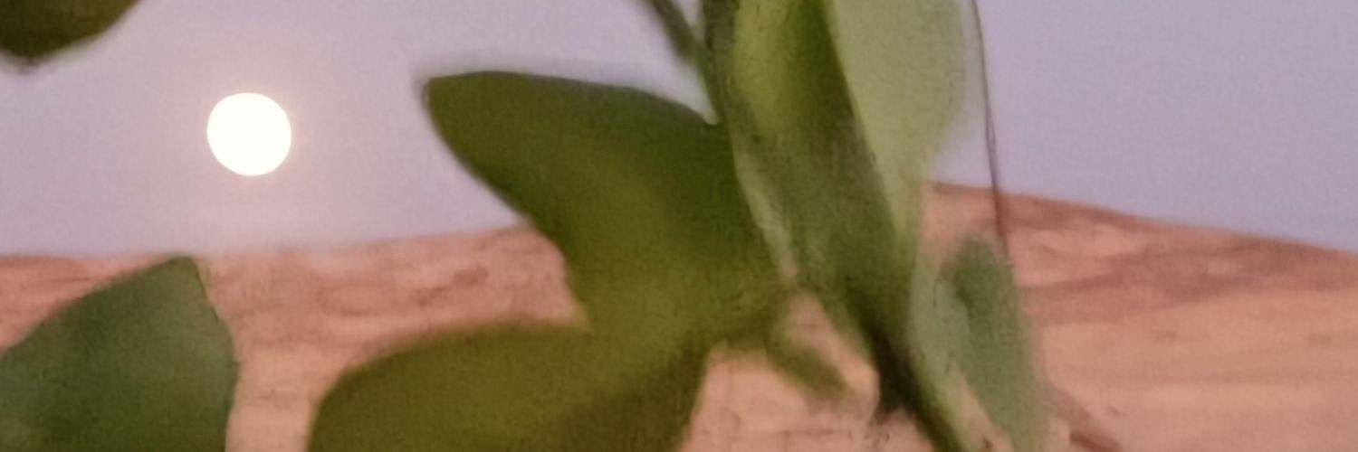 AlwadeMansour's profile banner image