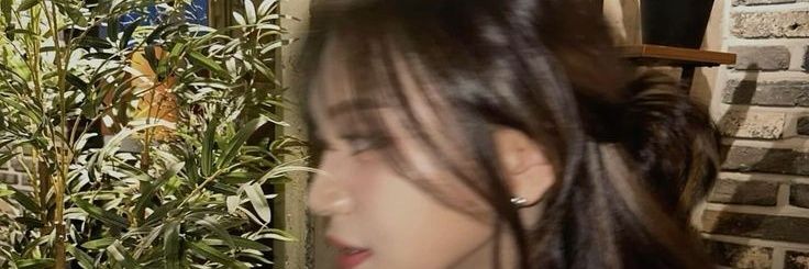 Lovelyrunner_56 banner